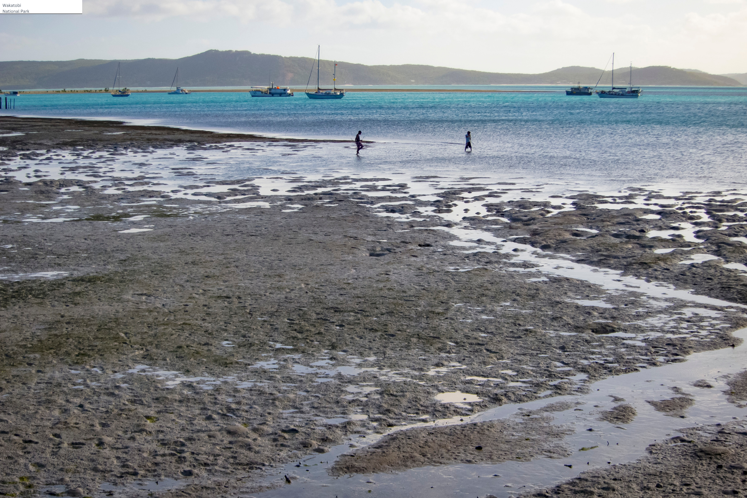 torres islands (4).webp